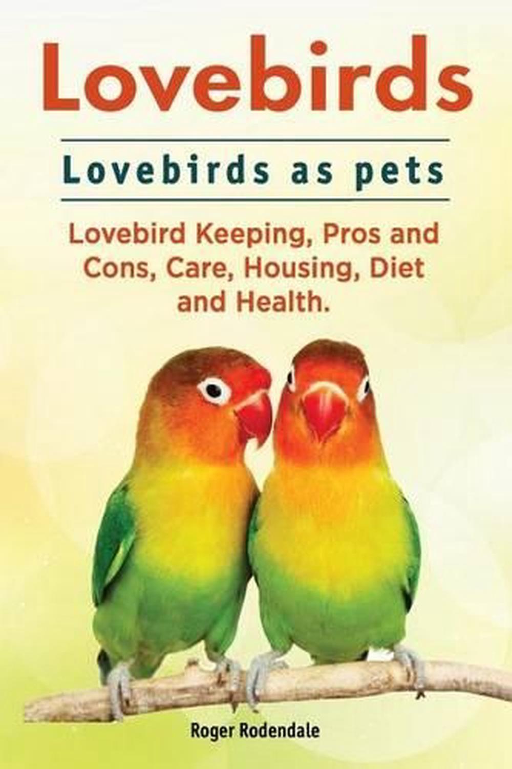 lovebirds. lovebirds as pets.