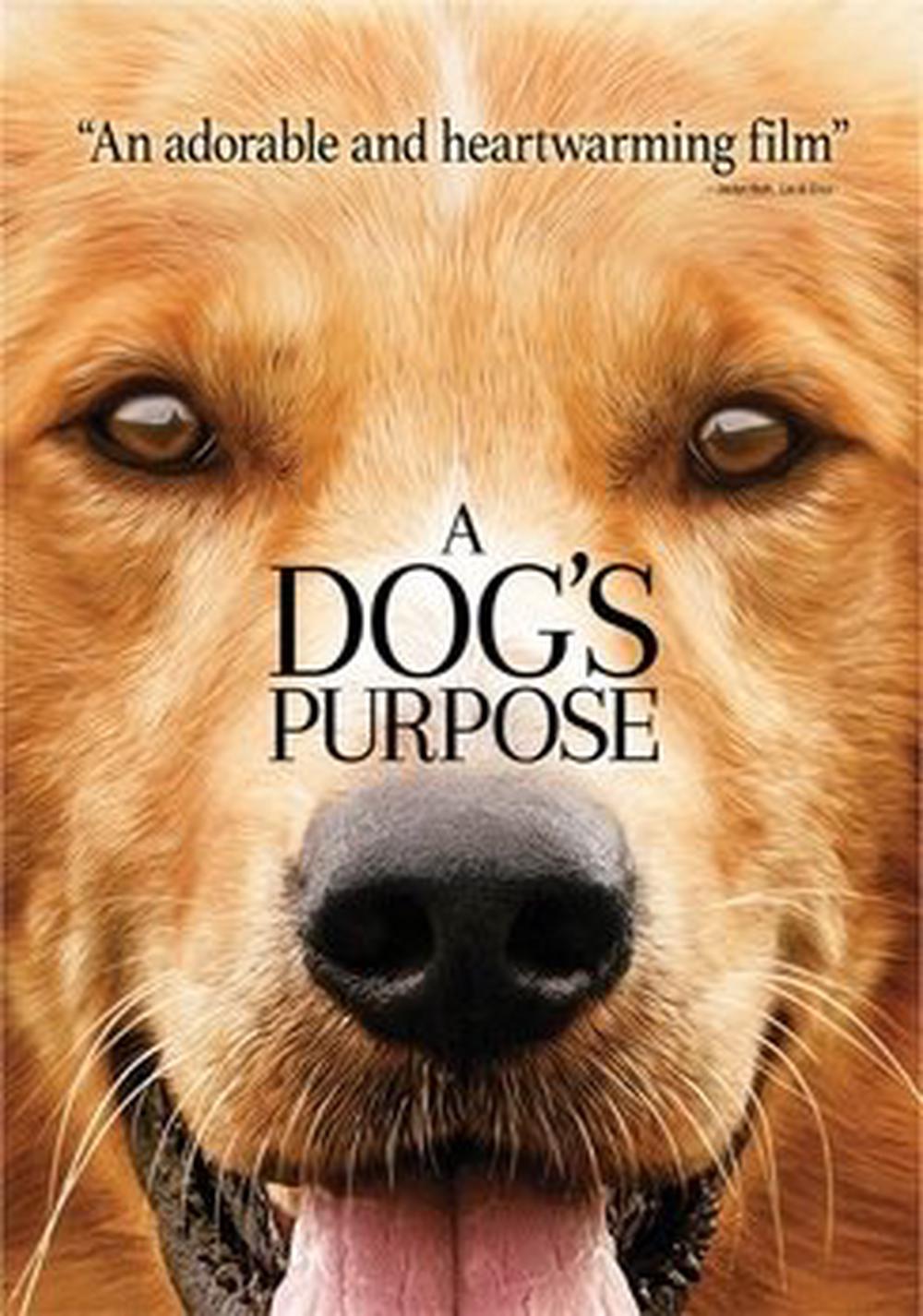 A Dog s Purpose DVD Region 1 Free Shipping EBay a-dog-s-purpose-dvd-region-1-free-shipping-ebay