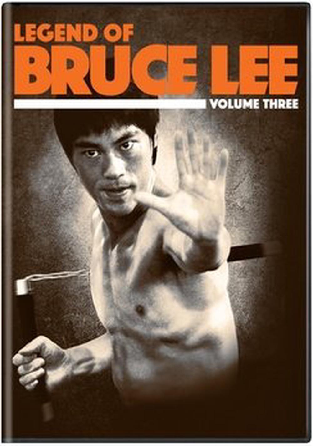 the legend of bruce lee