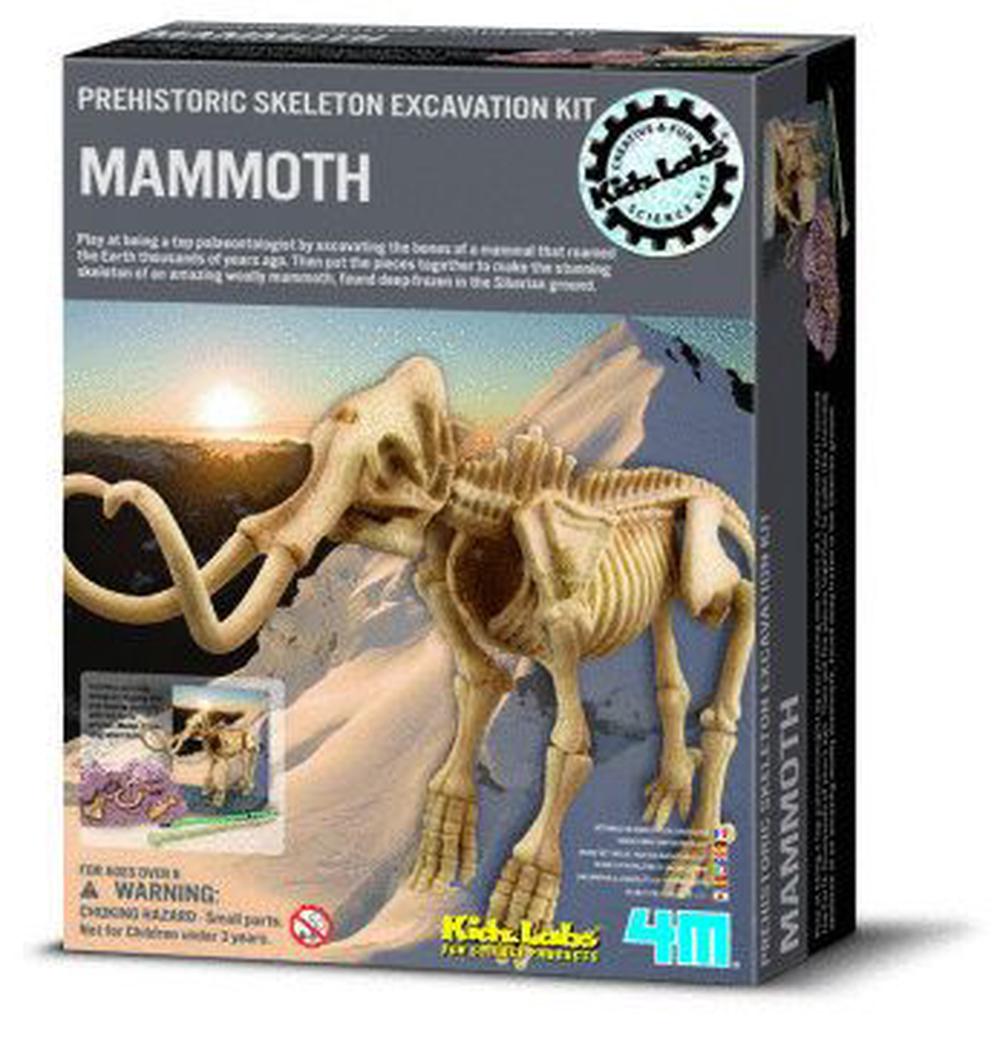 dino skeleton excavation kit smiki