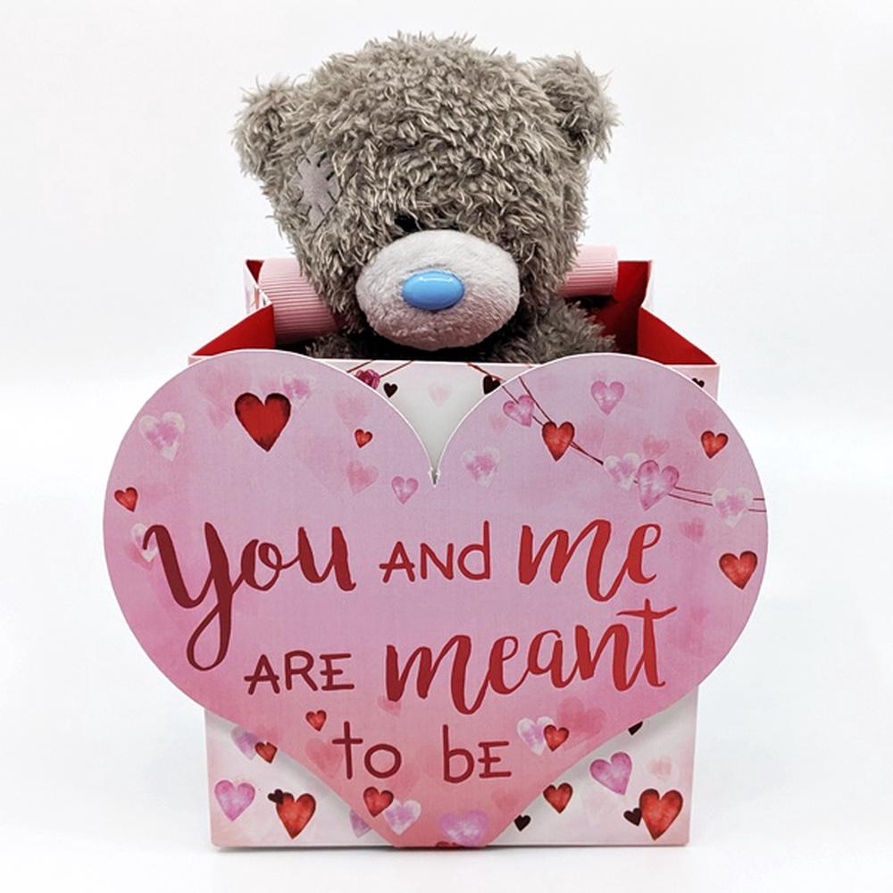 Valentines M5 Bear In Bag Tatty Teddy - Me To You Free Shipping! 5021978010520 | eBay