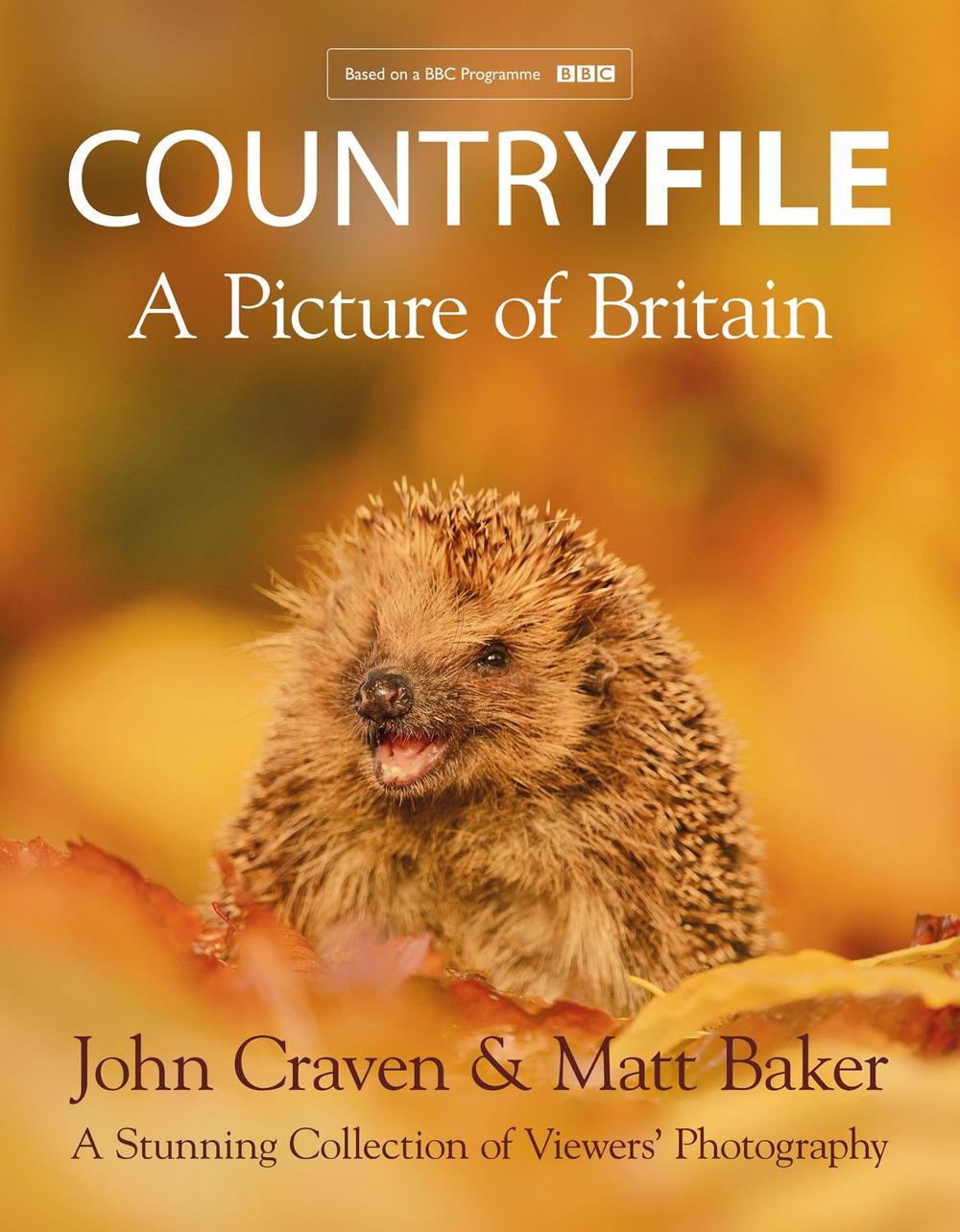 Countryfile A Picture of Britain: 25 Years of the Countryfile Calendar by John C  eBay