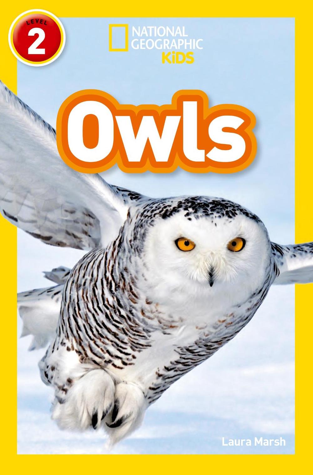 court of owls trade paperback