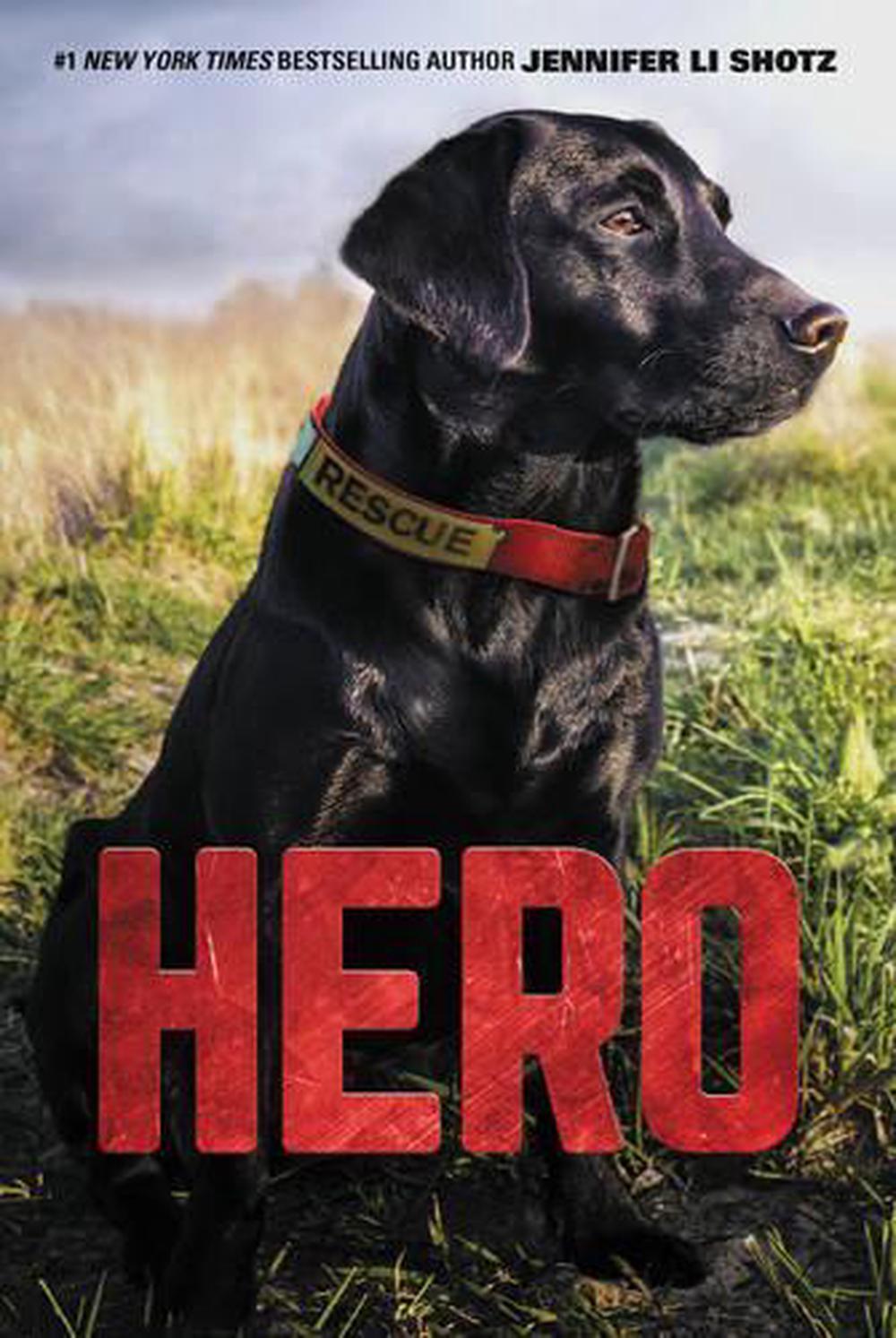 Hero by Jennifer Li Shotz (English) Paperback Book Free Shipping