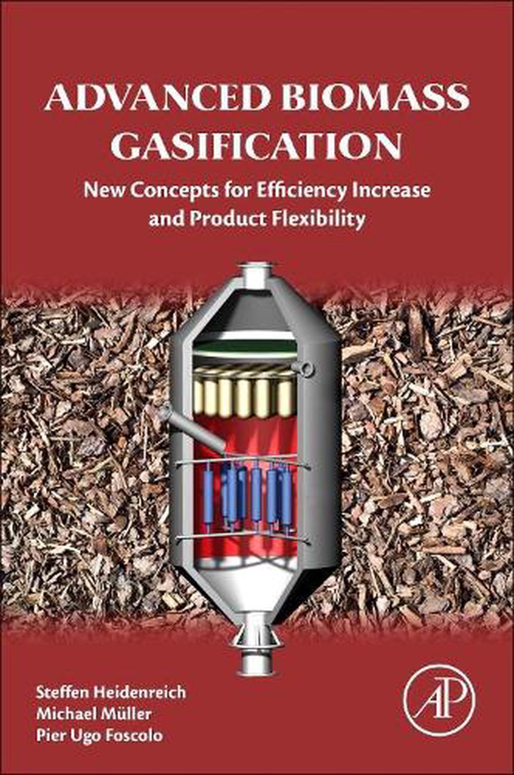 Biomass gasification phd thesis
