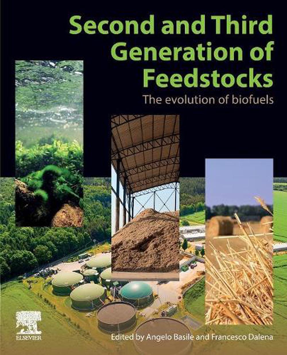 Second and Third Generation of Feedstocks: The Evolution ...