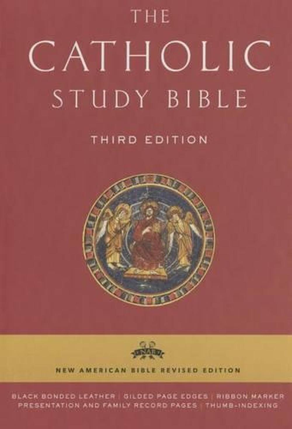 bible study books