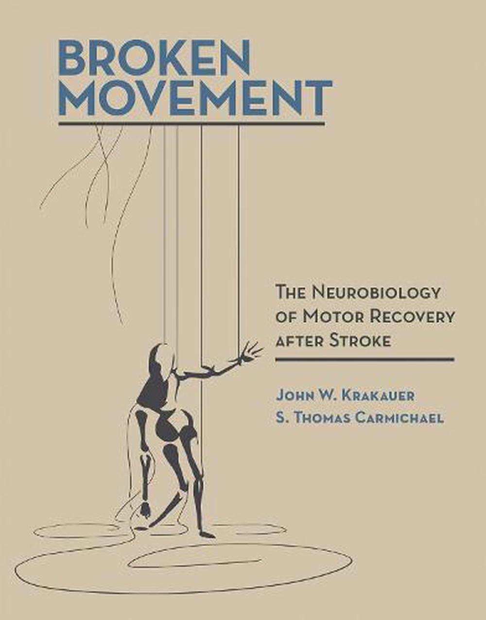 Broken Movement The Neurobiology of Motor  Recovery  after 