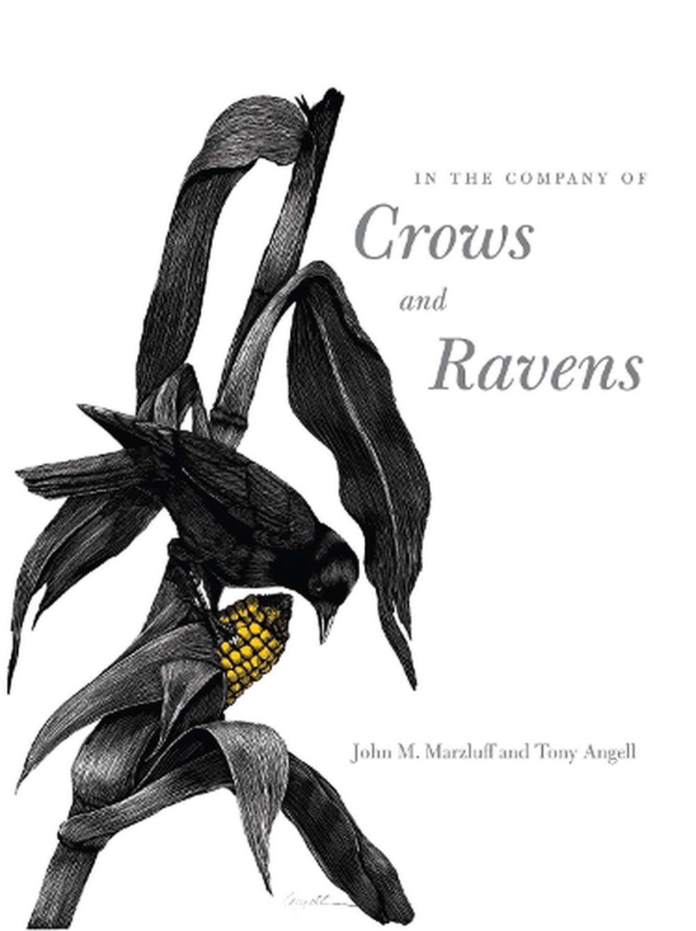 In the Company of Crows and Ravens by John M. Marzluff (English ...