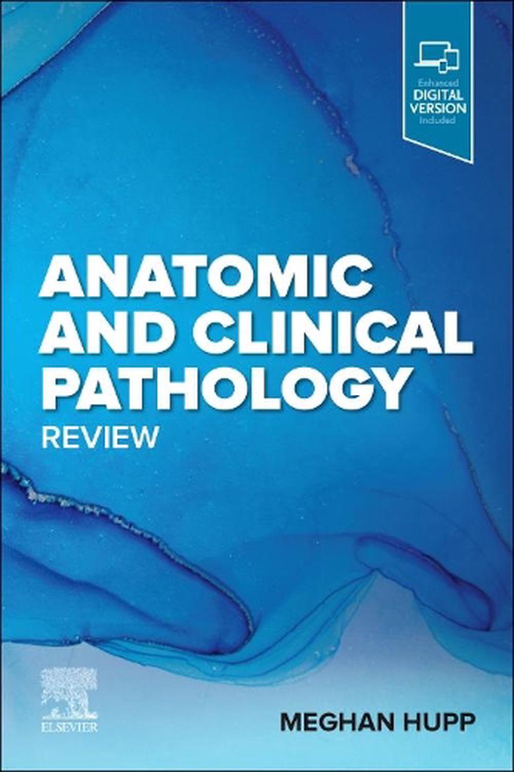 Ular mast odamning eshagini porno bilan boyashdi