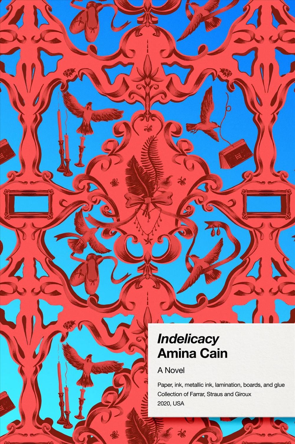 indelicacy book