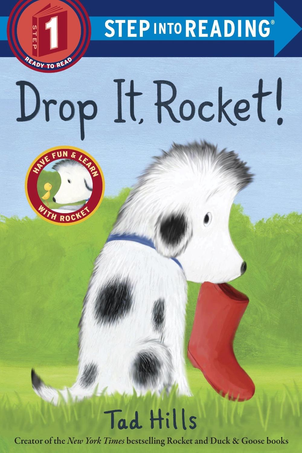 Drop It, Rocket! by Tad Hills (English) Paperback Book
