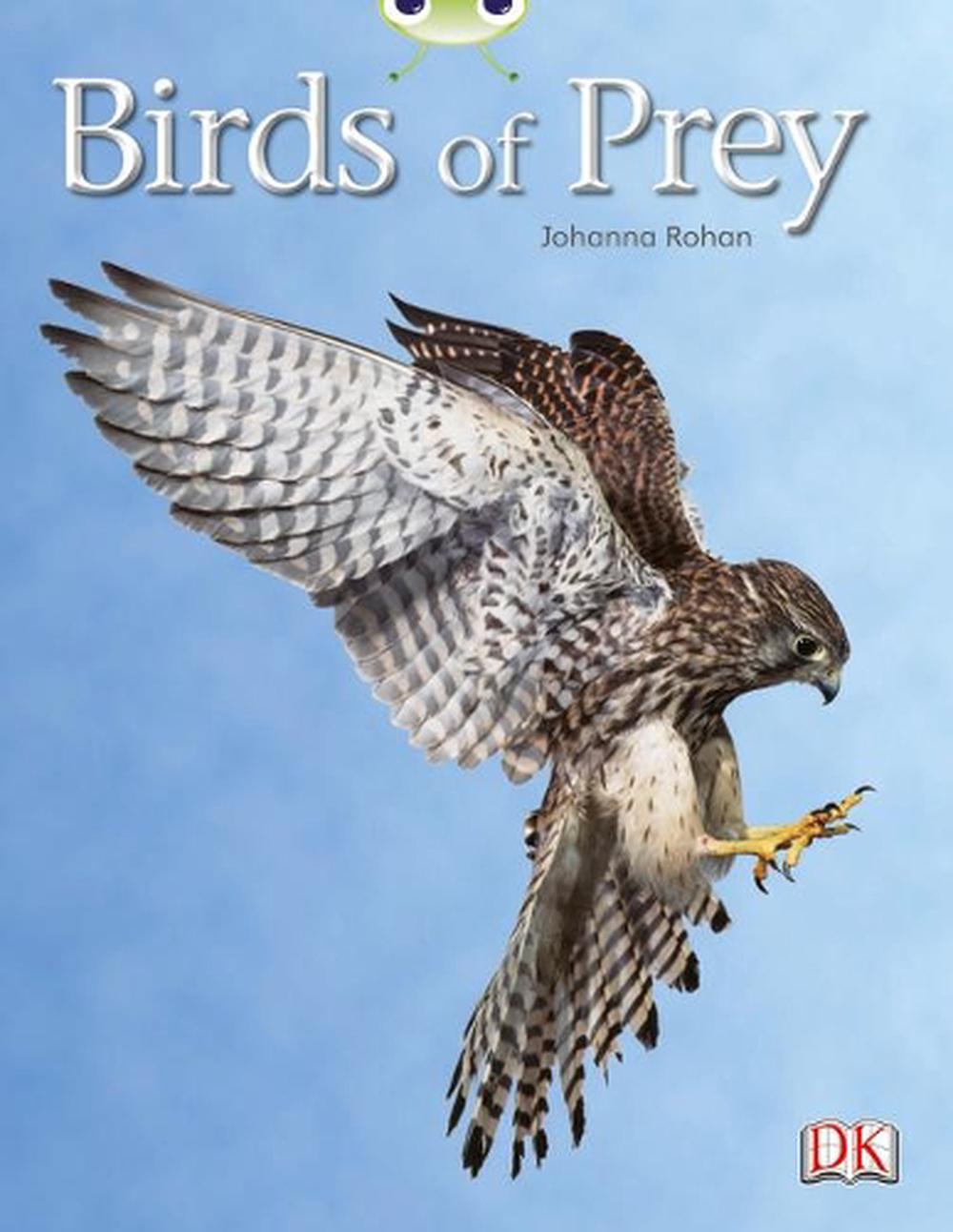 birds of prey book images