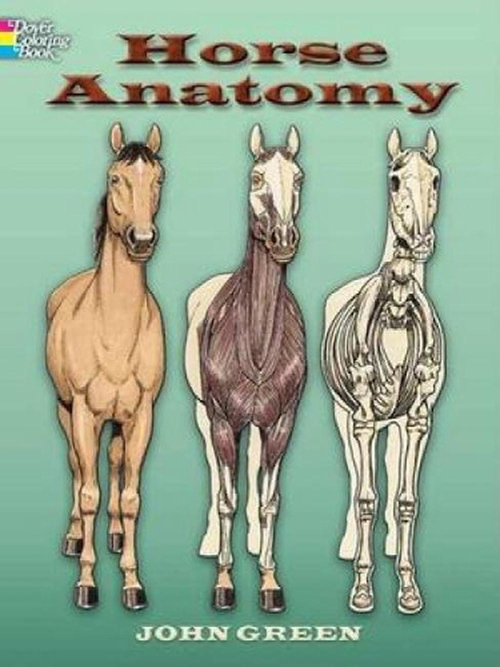 Horse Anatomy by John Green (English) Paperback Book 486448134 eBay