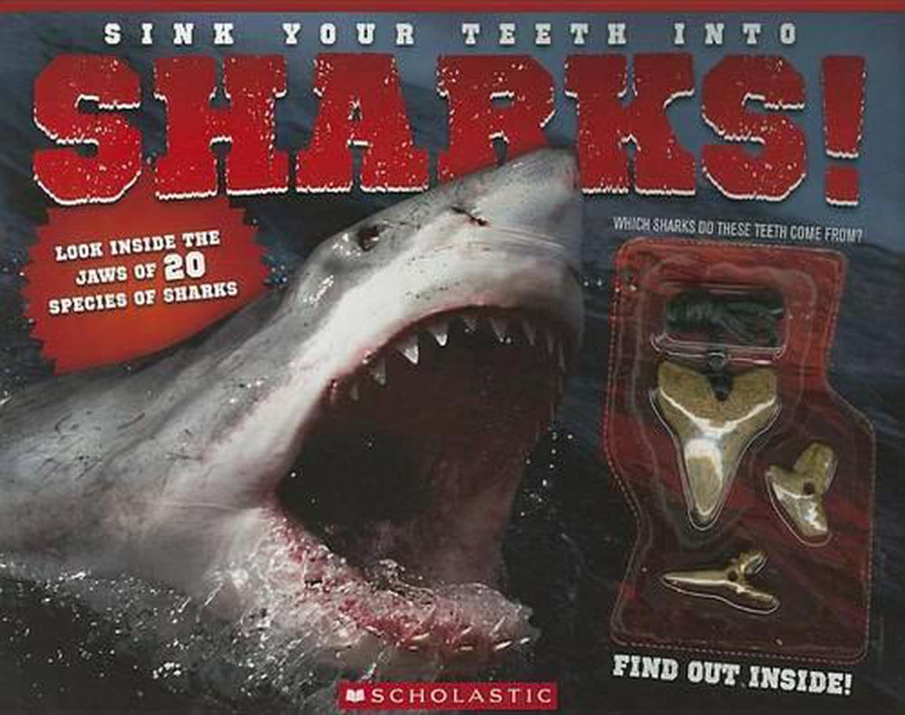 Sink Your Teeth Into Sharks By Lj Tracosas English Paperback Book