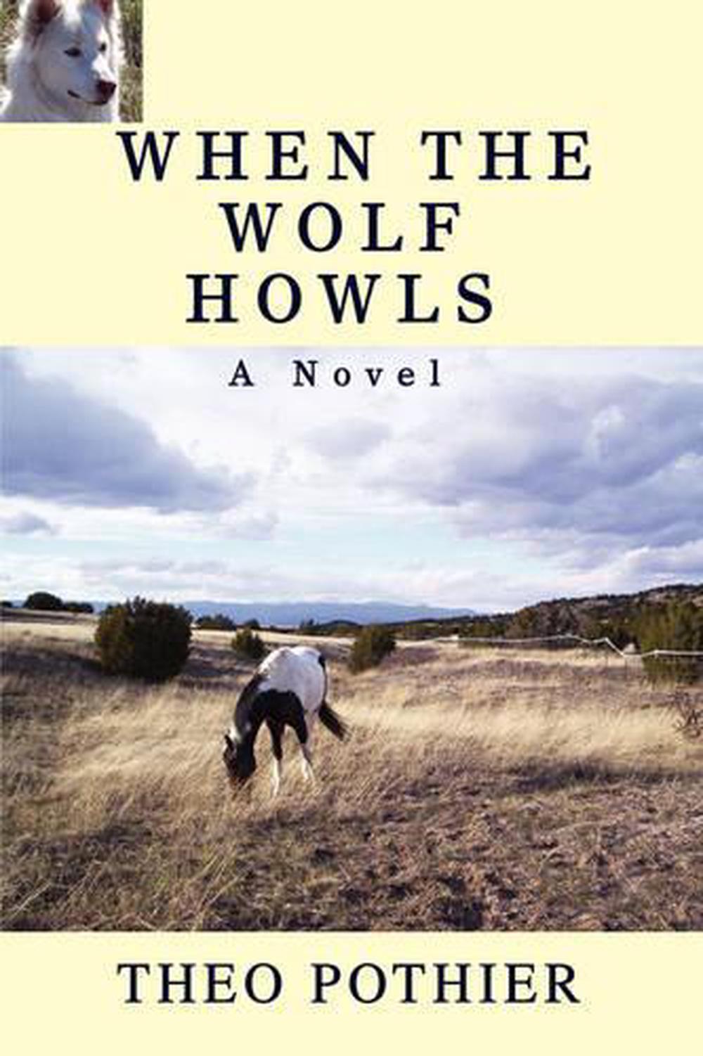 howls book