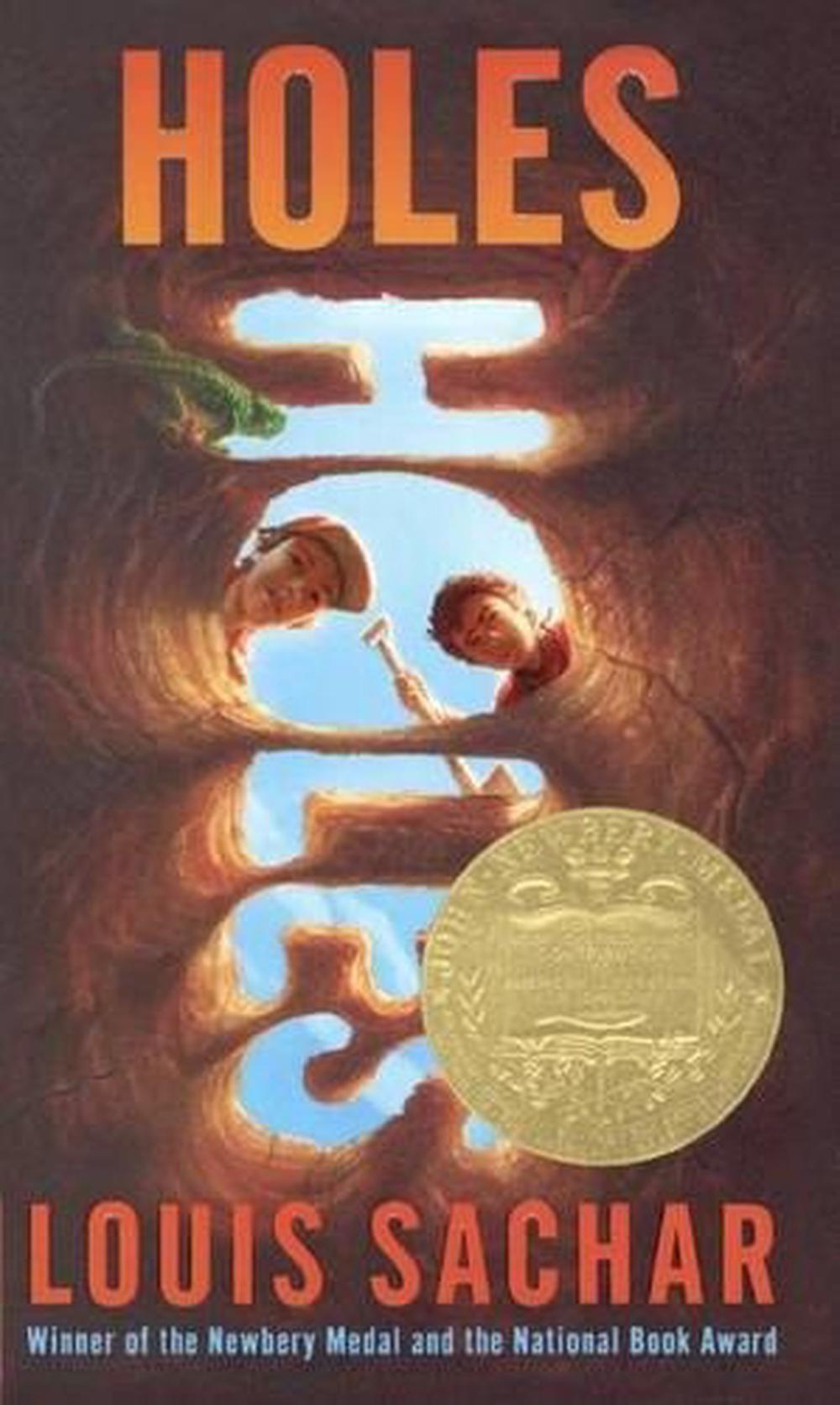 holes the novel holes the novel