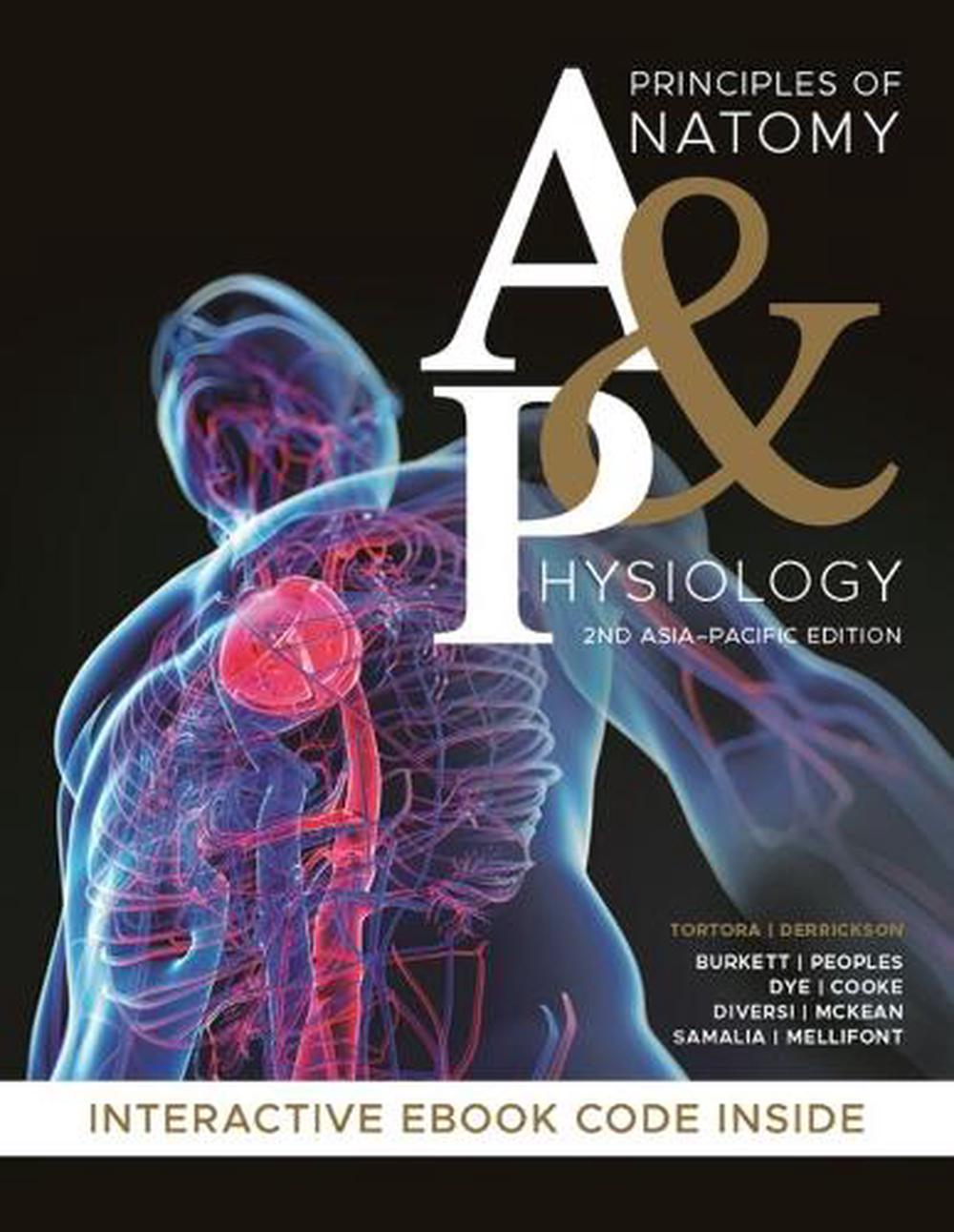 anatomy and physiology tortora chapter 13