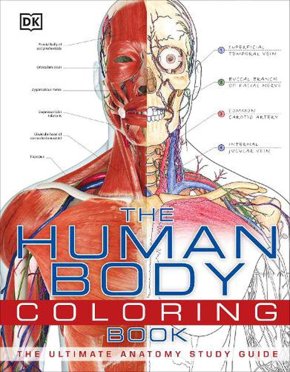 The Human Body Coloring Book The Ultimate Anatomy Study Guide by DK