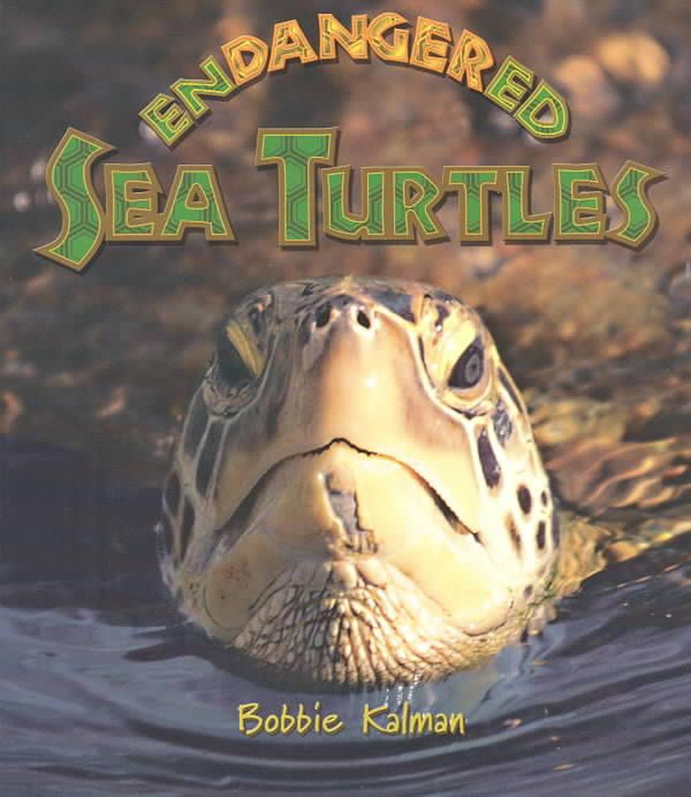 Endangered Sea Turtles by Bobbie Kalman (English) Paperback Book Free ...