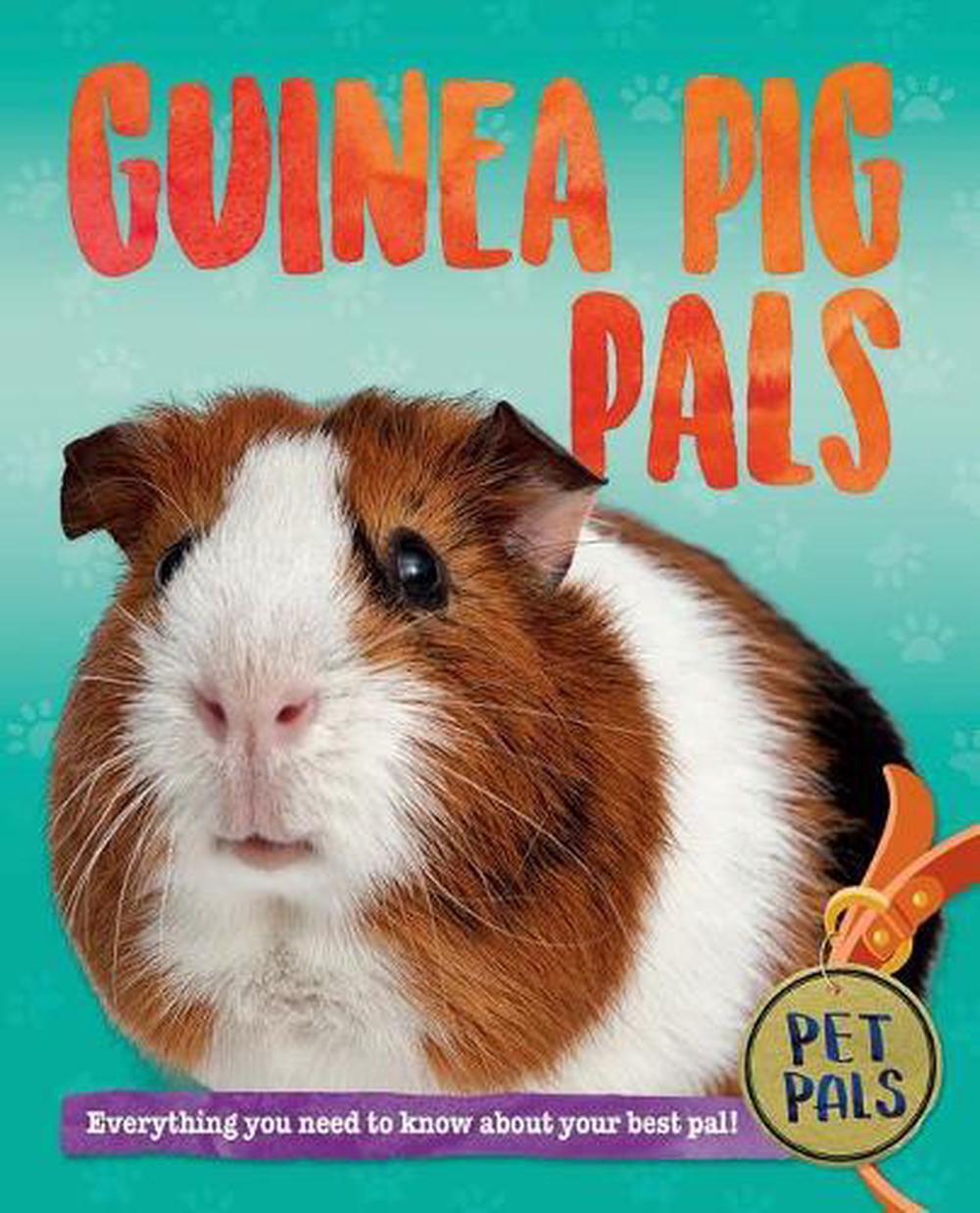 How much do guinea pigs cost picture