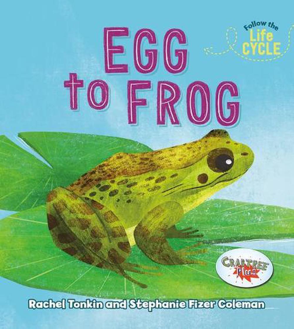 Egg to Frog by Rachel Tonkin (English) Hardcover Book Free Shipping