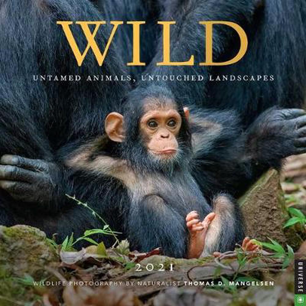 Wild 2021 Wall Calendar by Thomas D. Mangelsen (English) Free Shipping