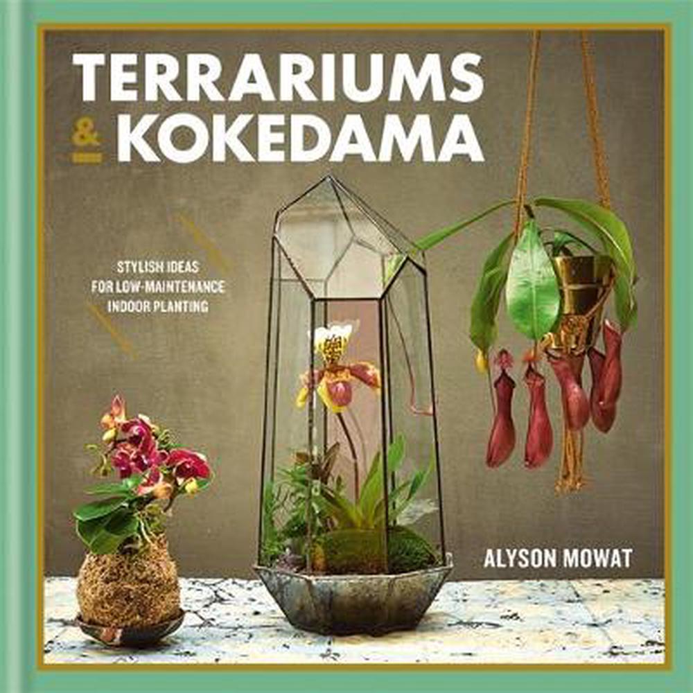 Terrariums & Kokedama: Stylish ideas for low-maintenance ...