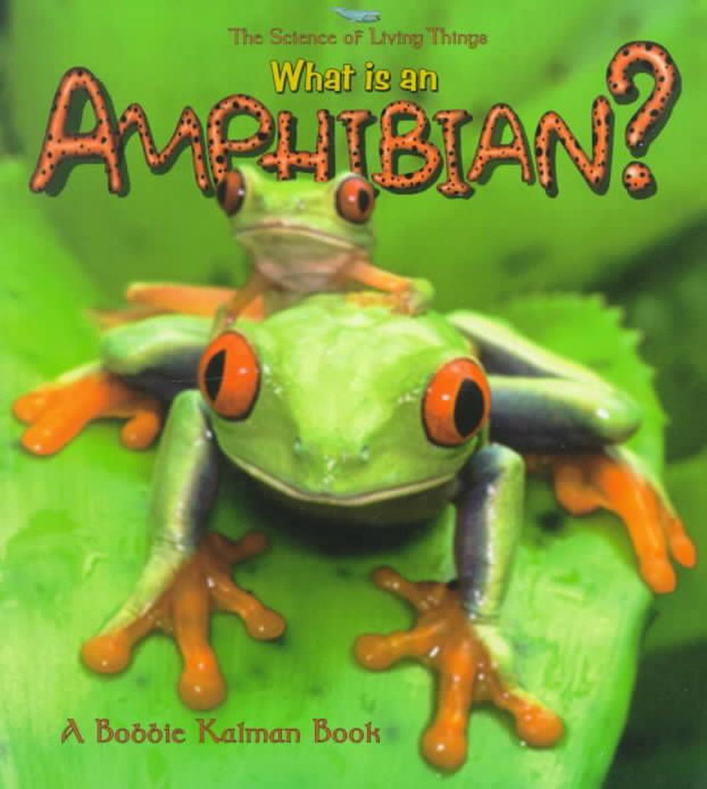 What Is an Amphibian? by Bobbie Kalman (English) Paperback Book Free