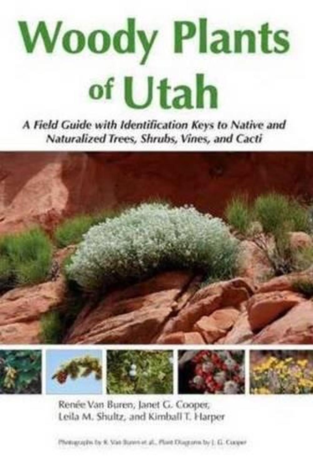 Woody Plants of Utah A Field Guide with Identification