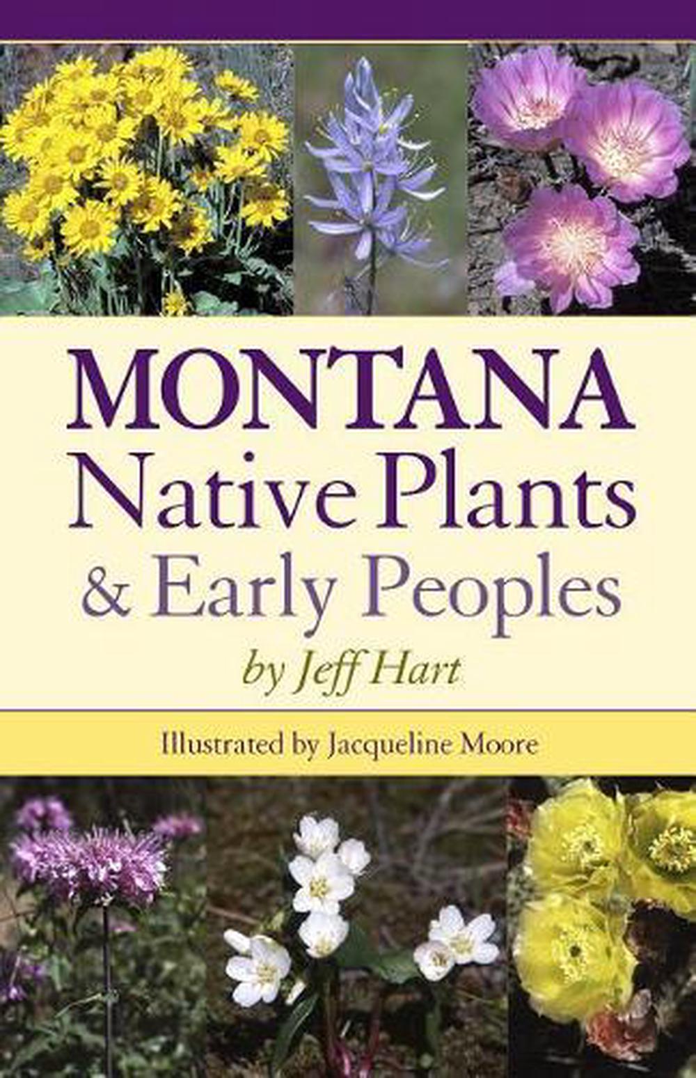 Montana Native Plants & Early Peoples by Jeff Hart (English) Paperback
