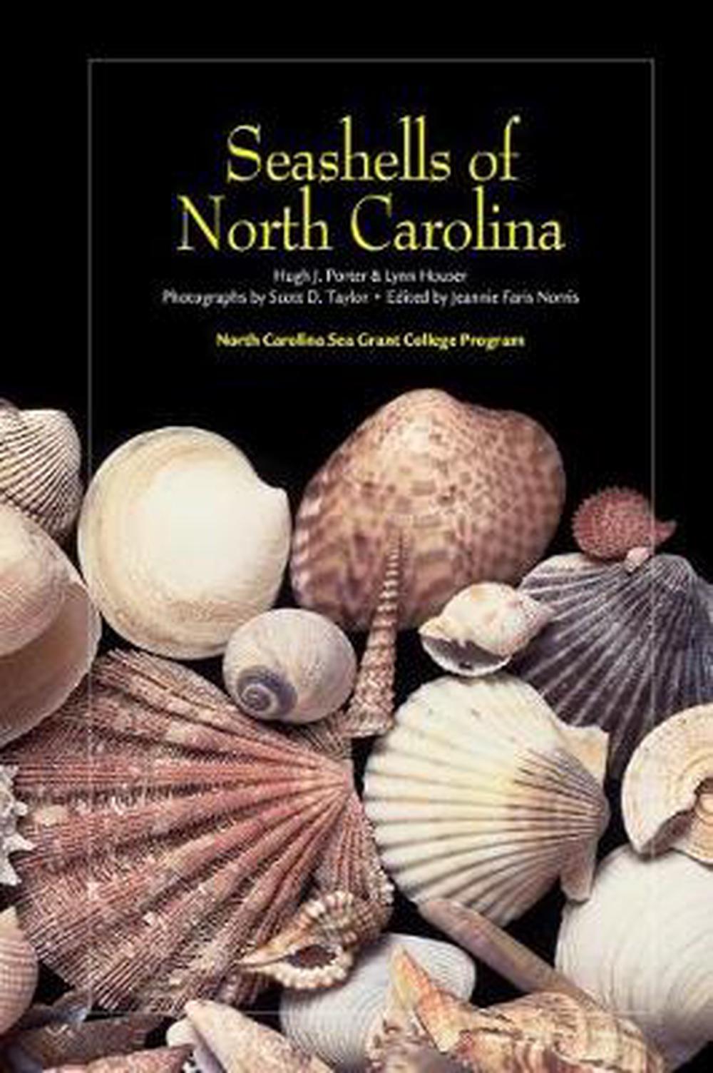 Seashells of North Carolina by Hugh J. Porter (English) Spiral Book