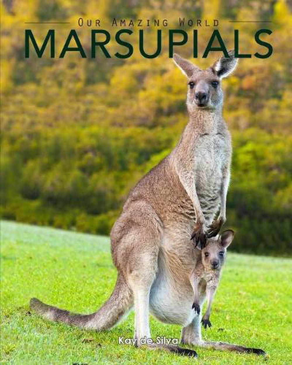 marsupials-amazing-pictures-fun-facts-of-animals-in-nature-by-kay-de