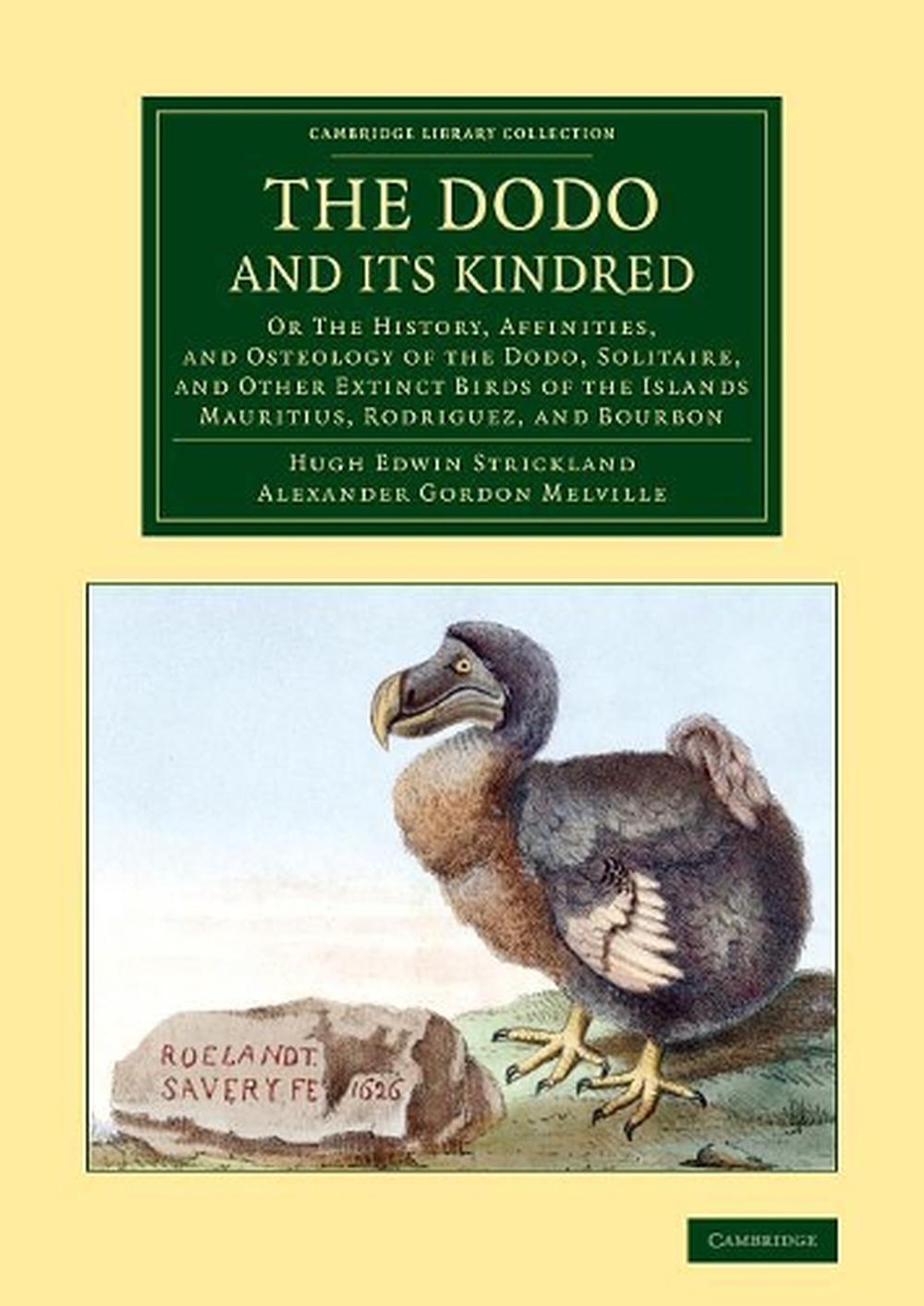 the rise and fall of dodo the rise and fall of dodo