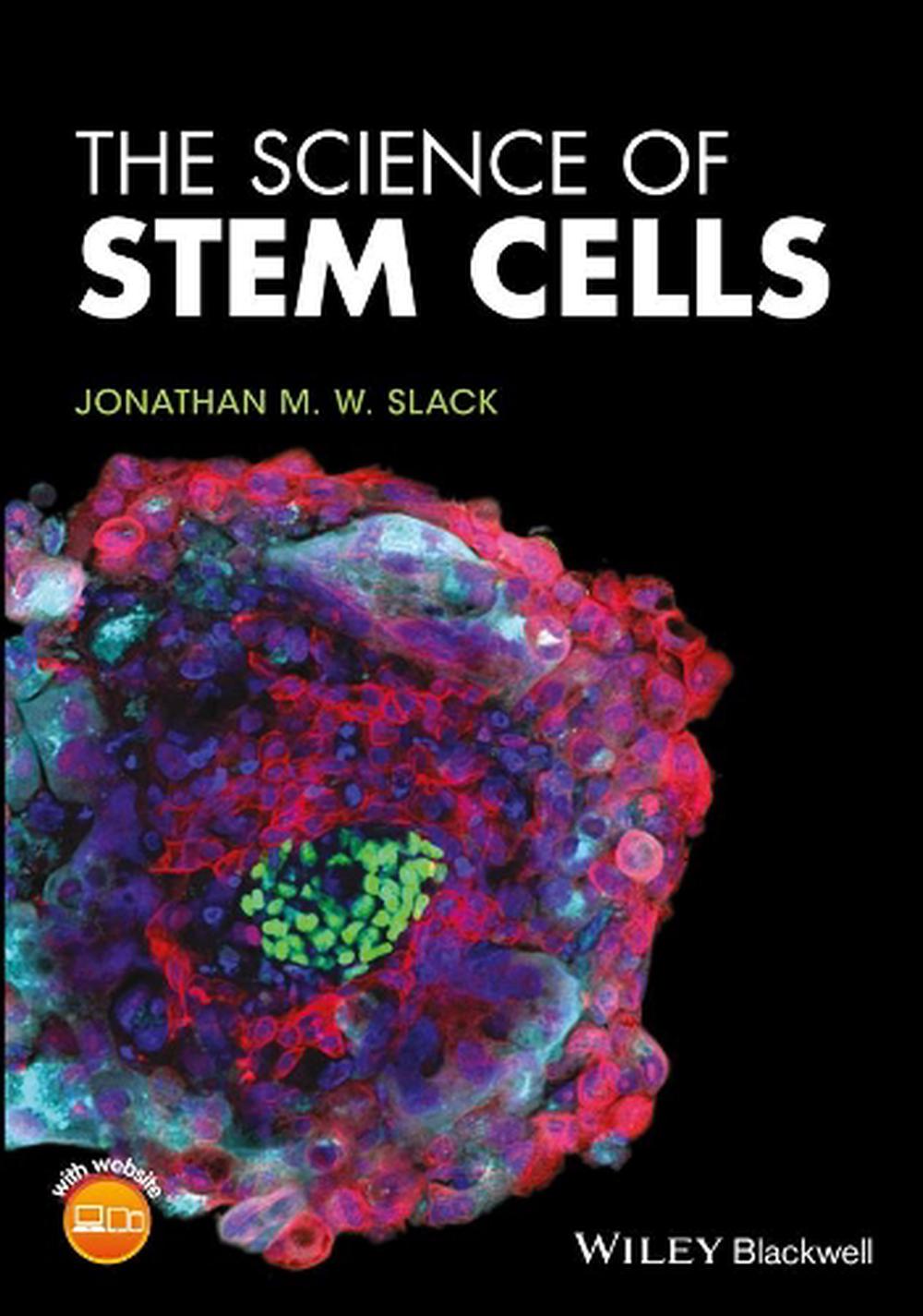define stem cell in biology