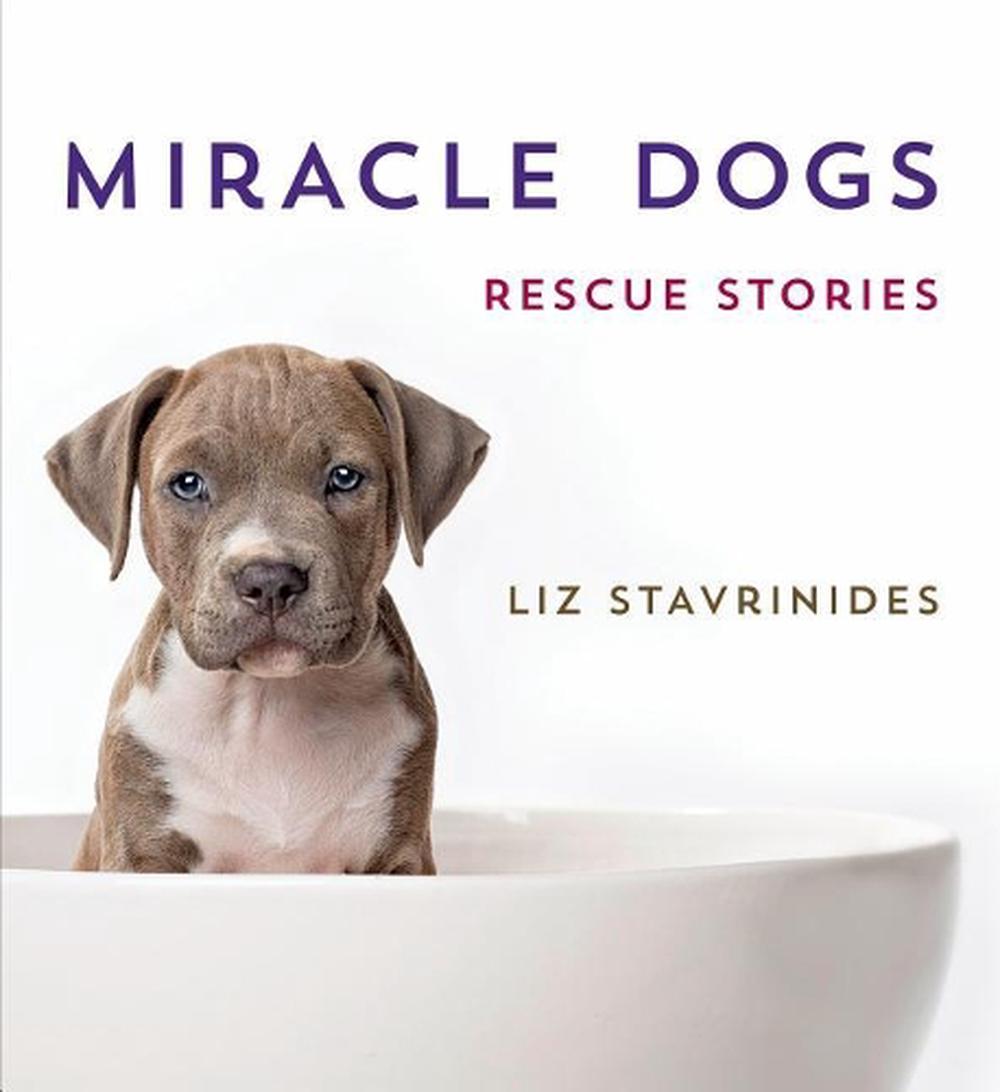 Miracle Dogs Rescue Stories by Liz Stavrinides (English) Hardcover
