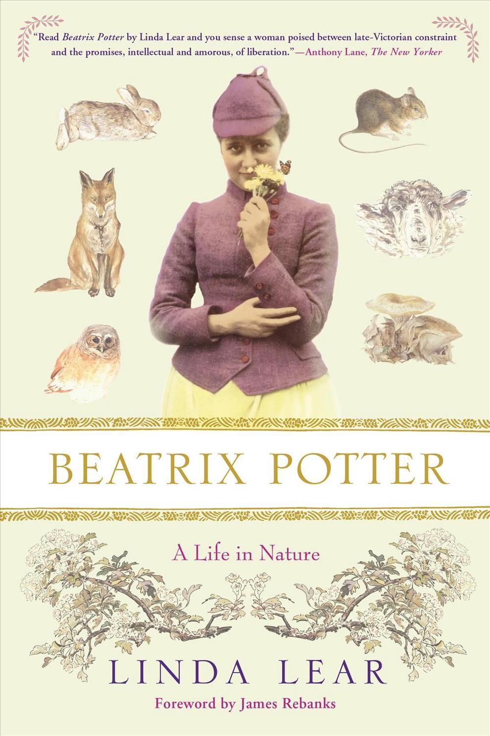 Beatrix potter brother image
