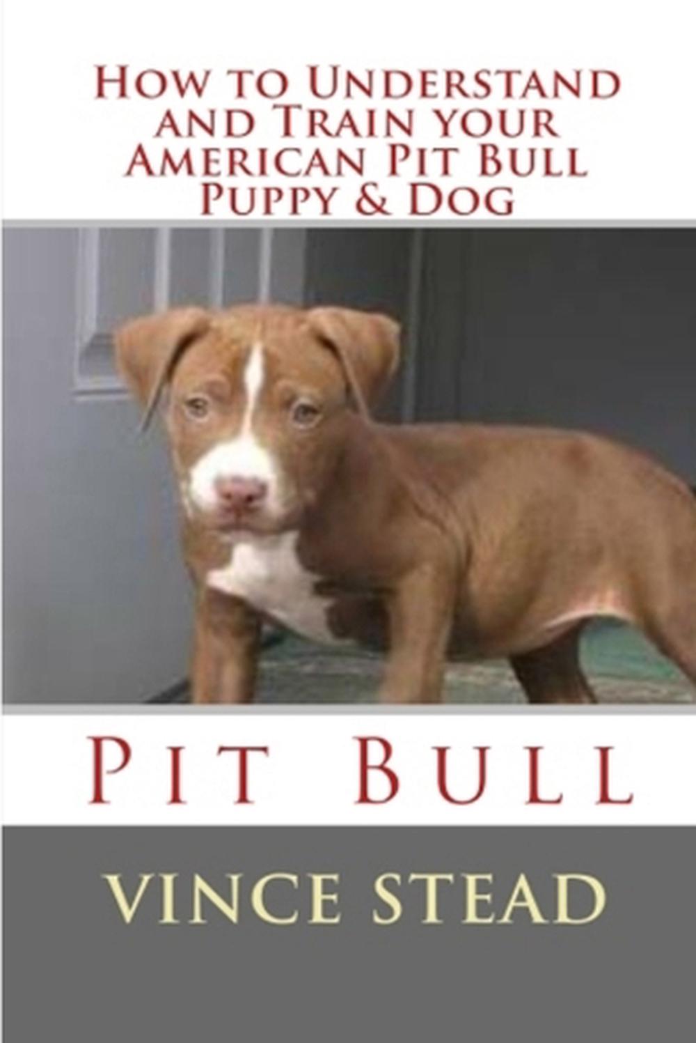 How to Understand and Train Your American Pit Bull Puppy