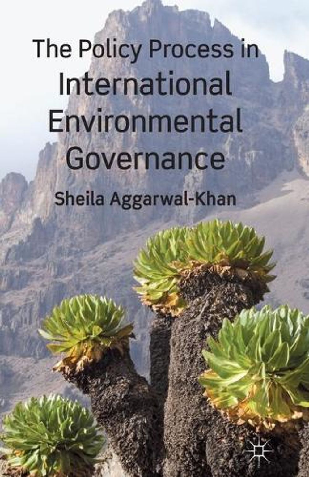 Policy Process In International Environmental Governance By S Aggarwal 