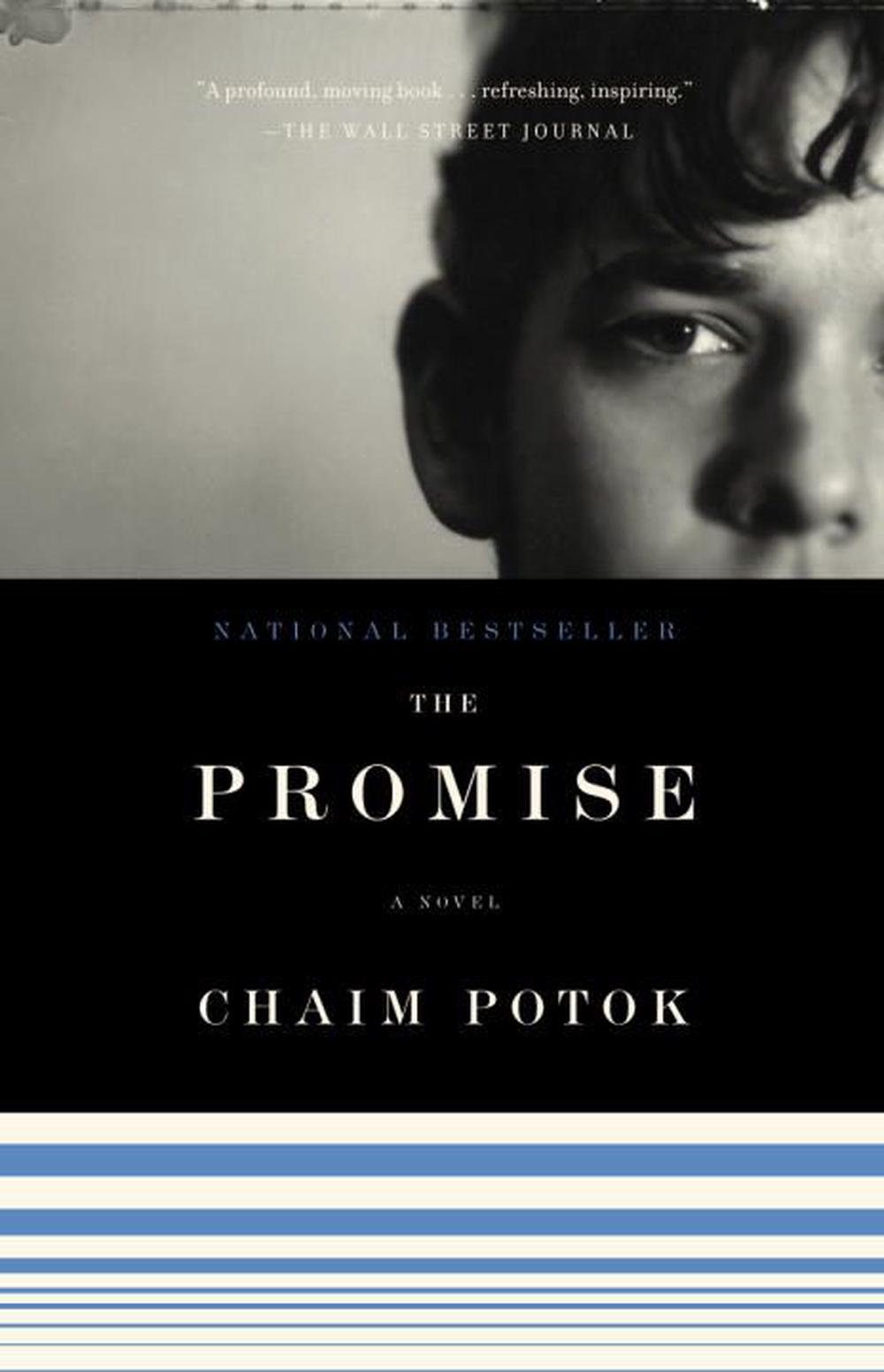 the promise potok