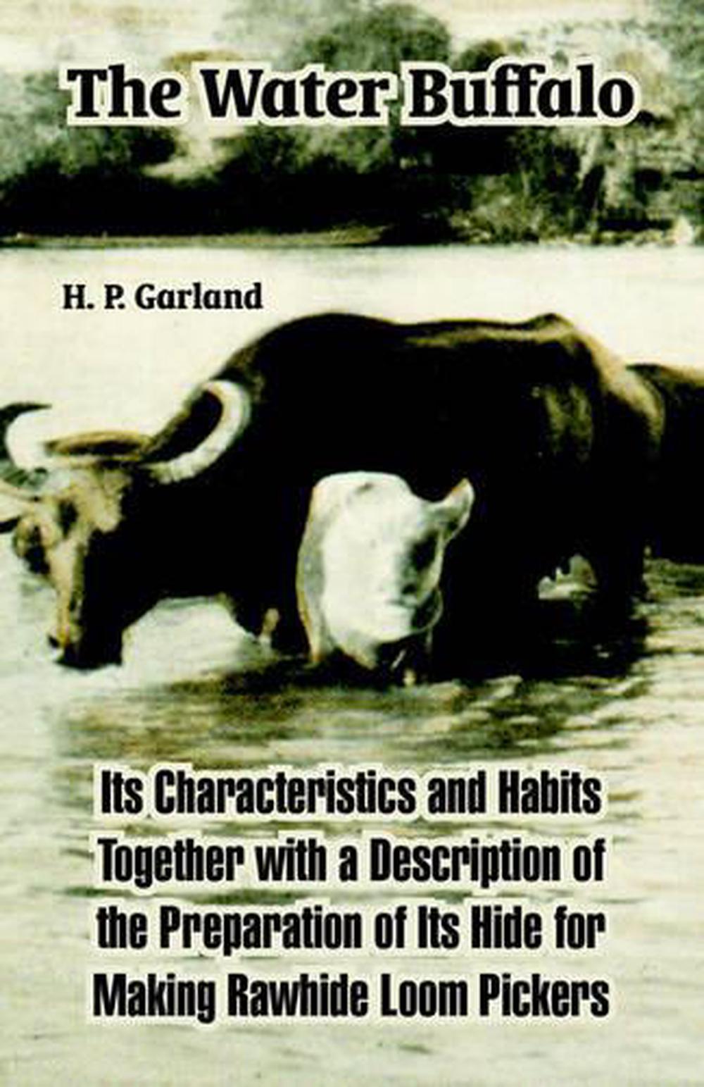 The Water Buffalo Its Characteristics and Habits Together with a