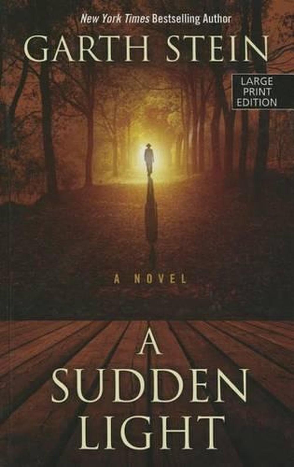 A Sudden Light by Garth Stein (English) Hardcover Book 9781410477132 | eBay