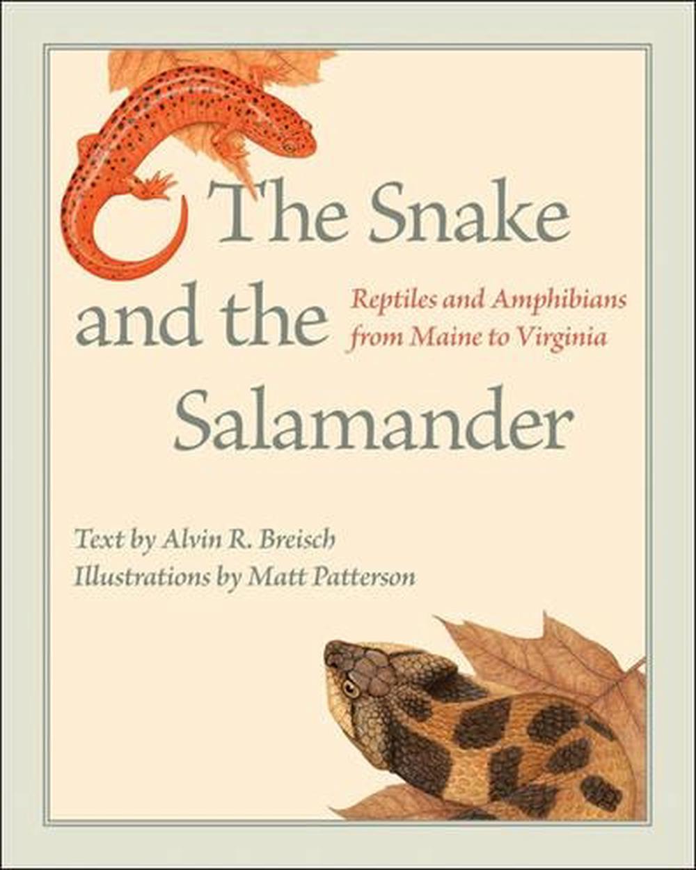 Snake And The Salamander Reptiles And Amphibians From