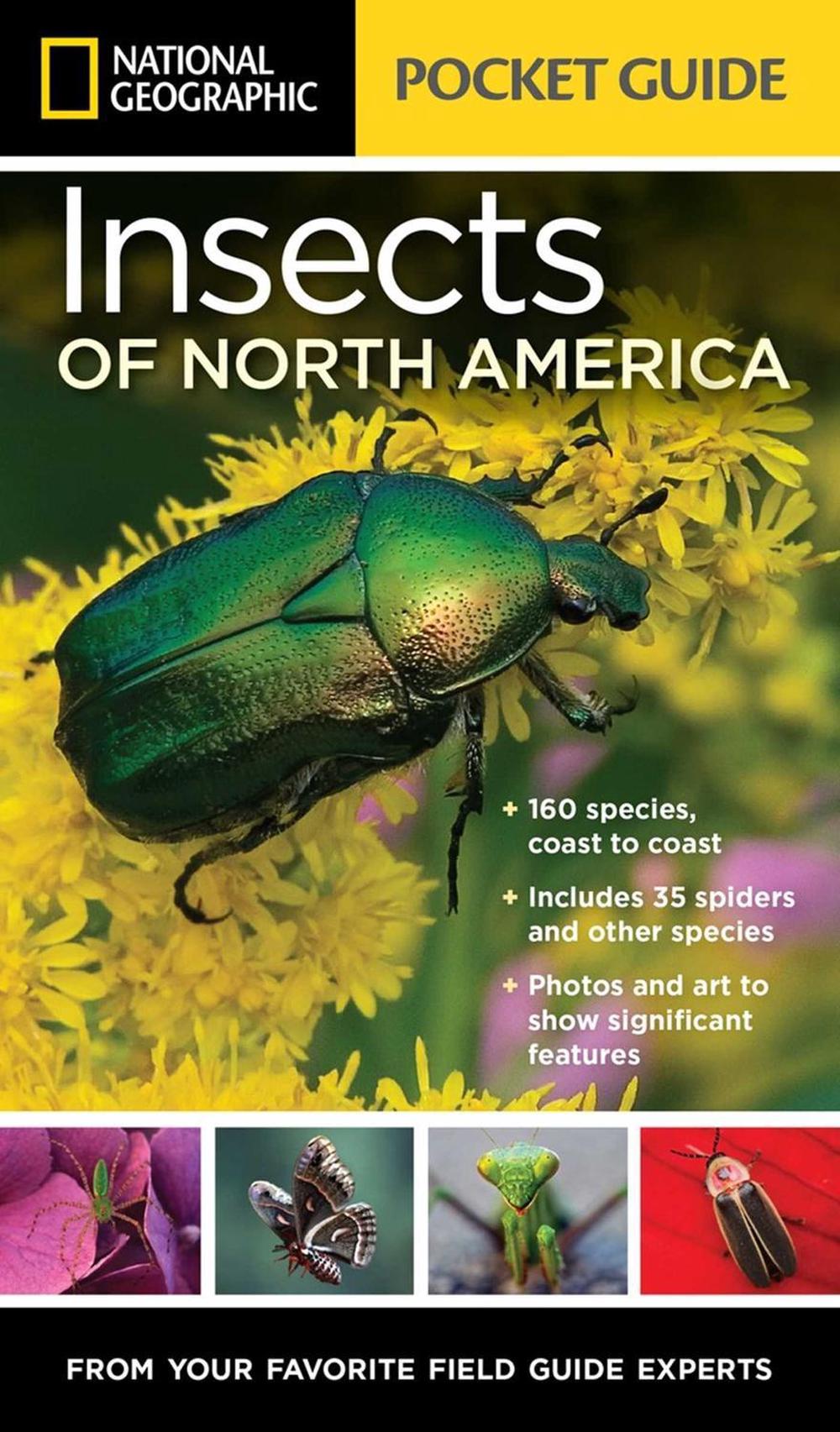 National Geographic Pocket Guide to Insects of North America by Arthur