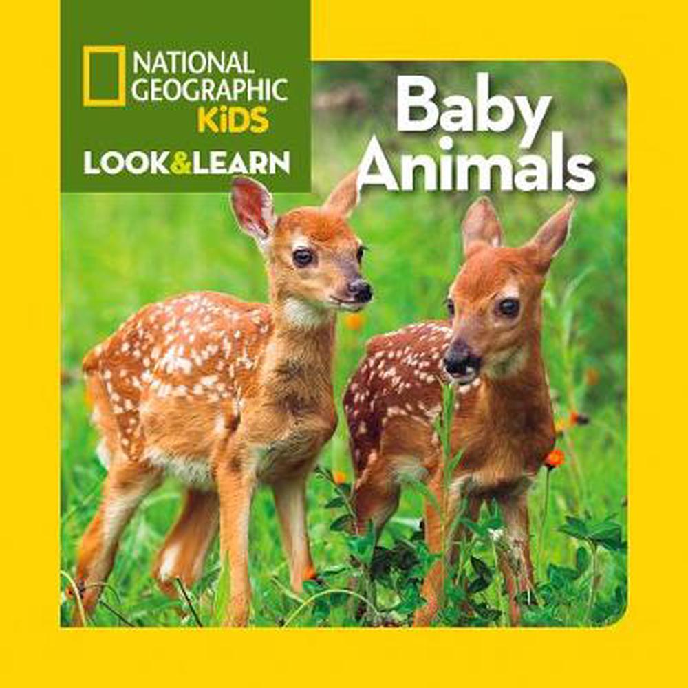 Baby Animals By National Geographic Kids (English) Board Books Book ...