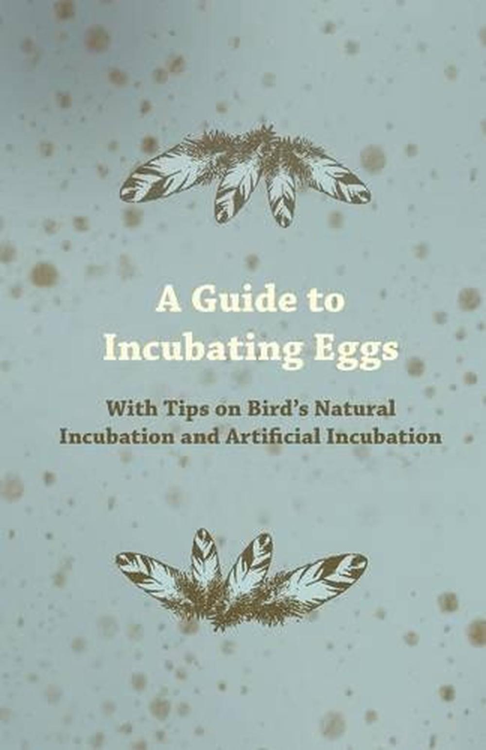 A Guide to Incubating Eggs With Tips on Bird's Natural Incubation and