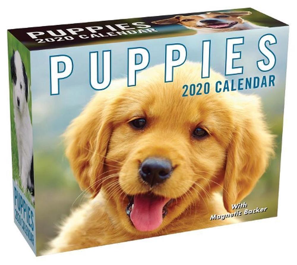 Puppies 2020 Mini Daytoday Calendar by Andrews Mcmeel Publishing
