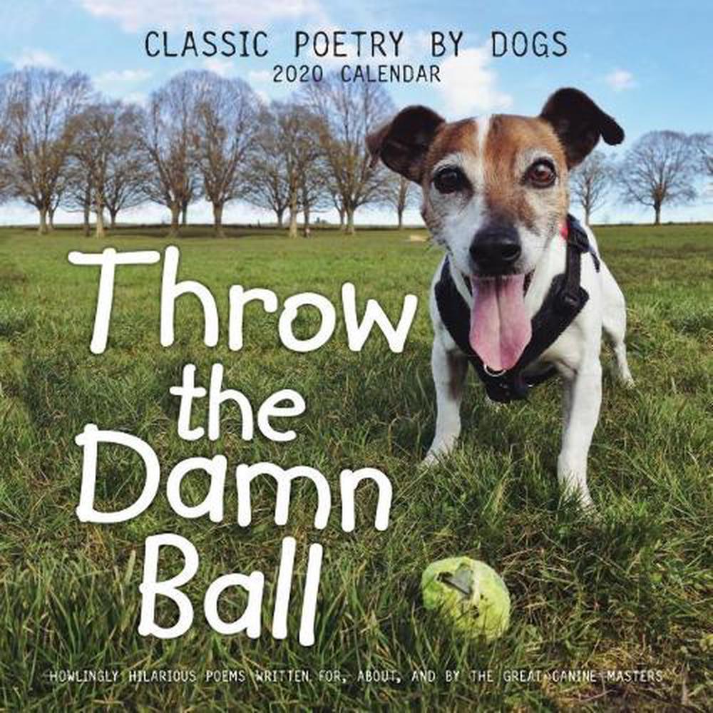 Throw the Damn Ball 2020 Square Wall Calendar by R.D. Rosen Paperback