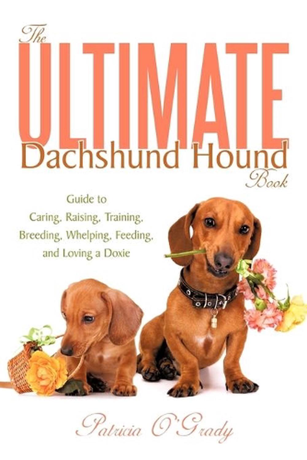 The Ultimate Dachshund Hound Book Guide to Caring