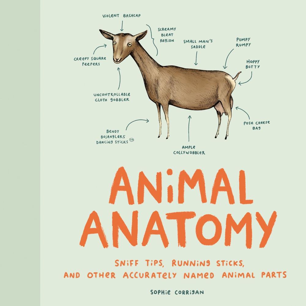 Animal Anatomy (Funny Animal Books, Funny Anatomy Books, Humor Books